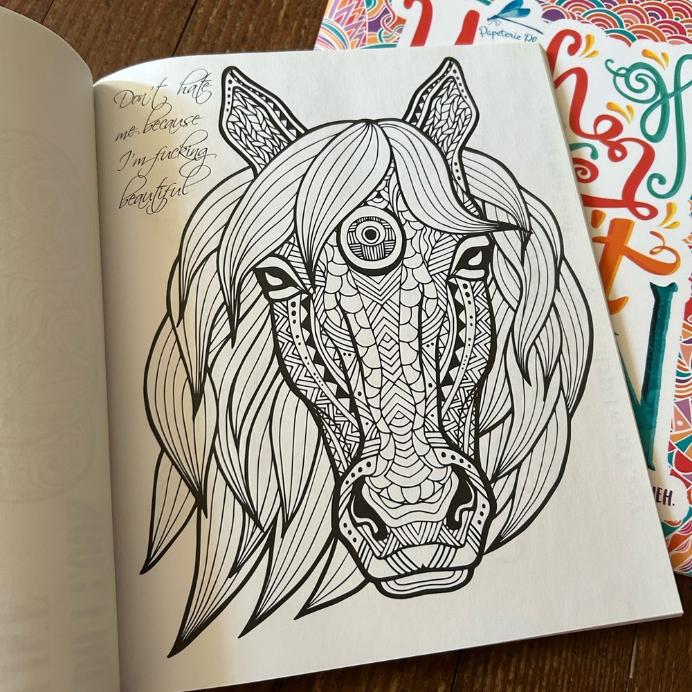 Funny Adult Coloring Books - Picture 2 of 7